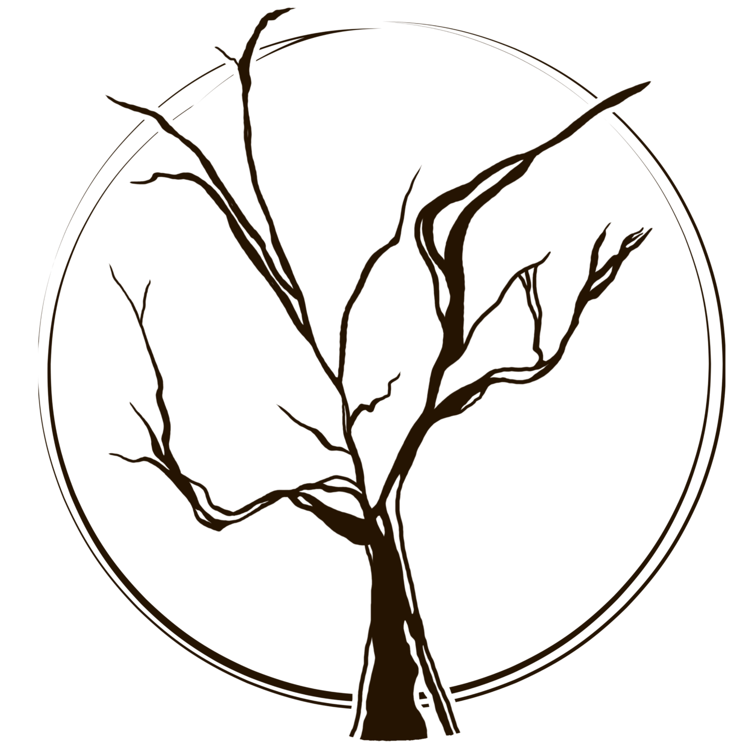 Rooted by Mindy Wara