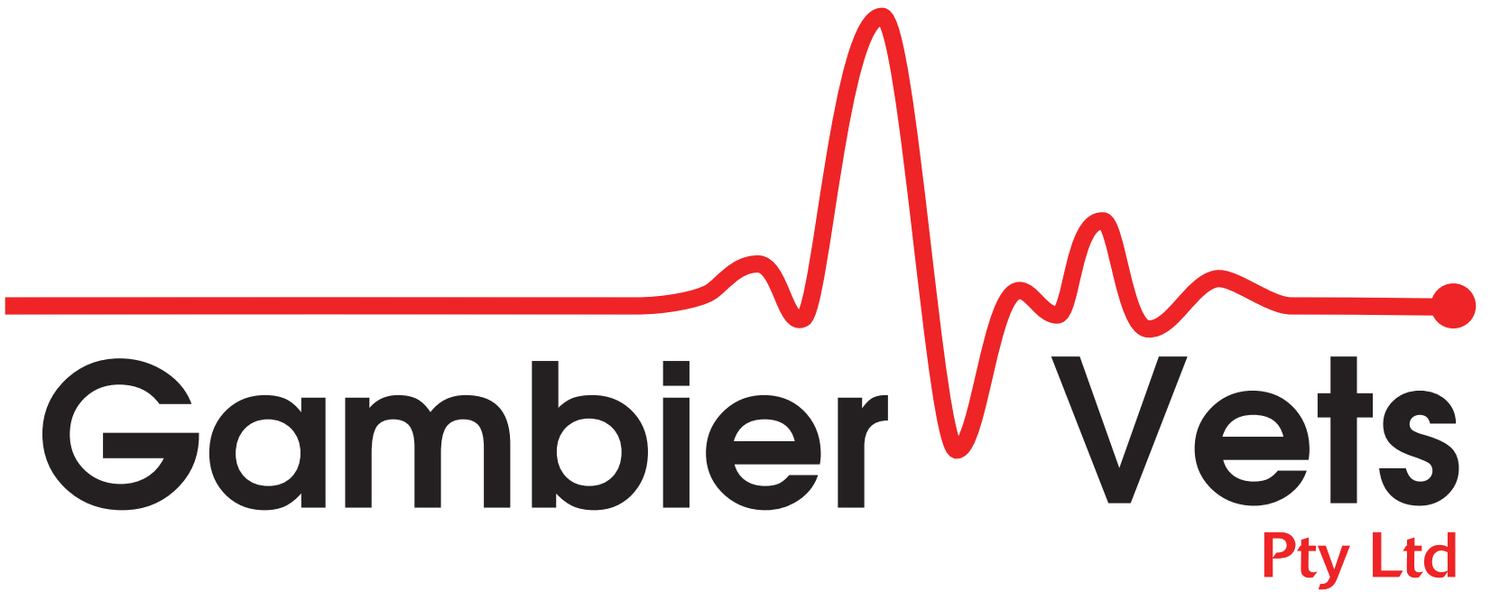 Gambier Vets