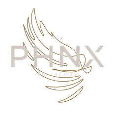 The PHNX