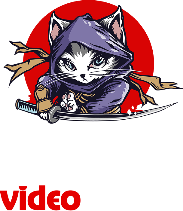NINJA video house