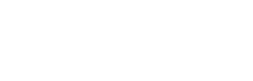 Morel Investment Builds