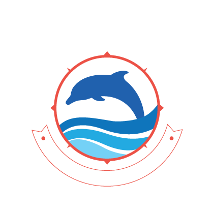 Dolphins Down Under