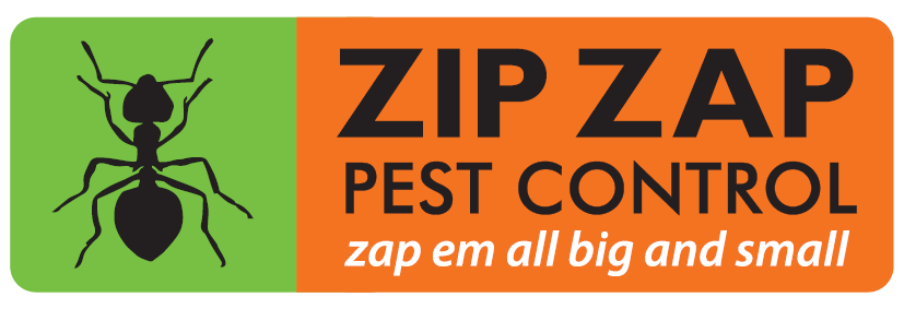zip zap