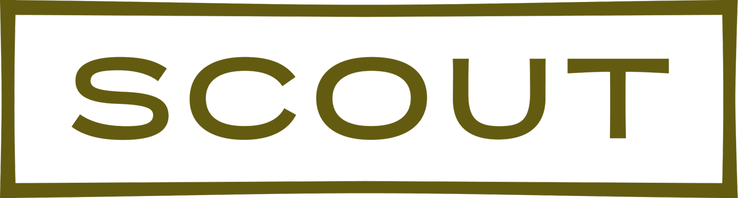 SCOUT
