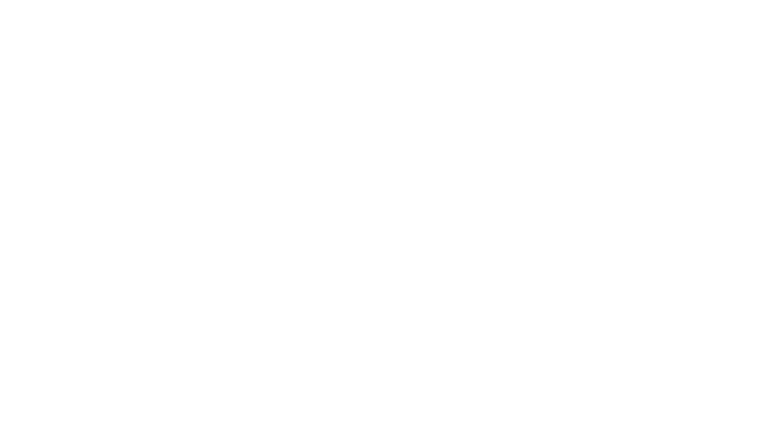 Vision AI Solutions