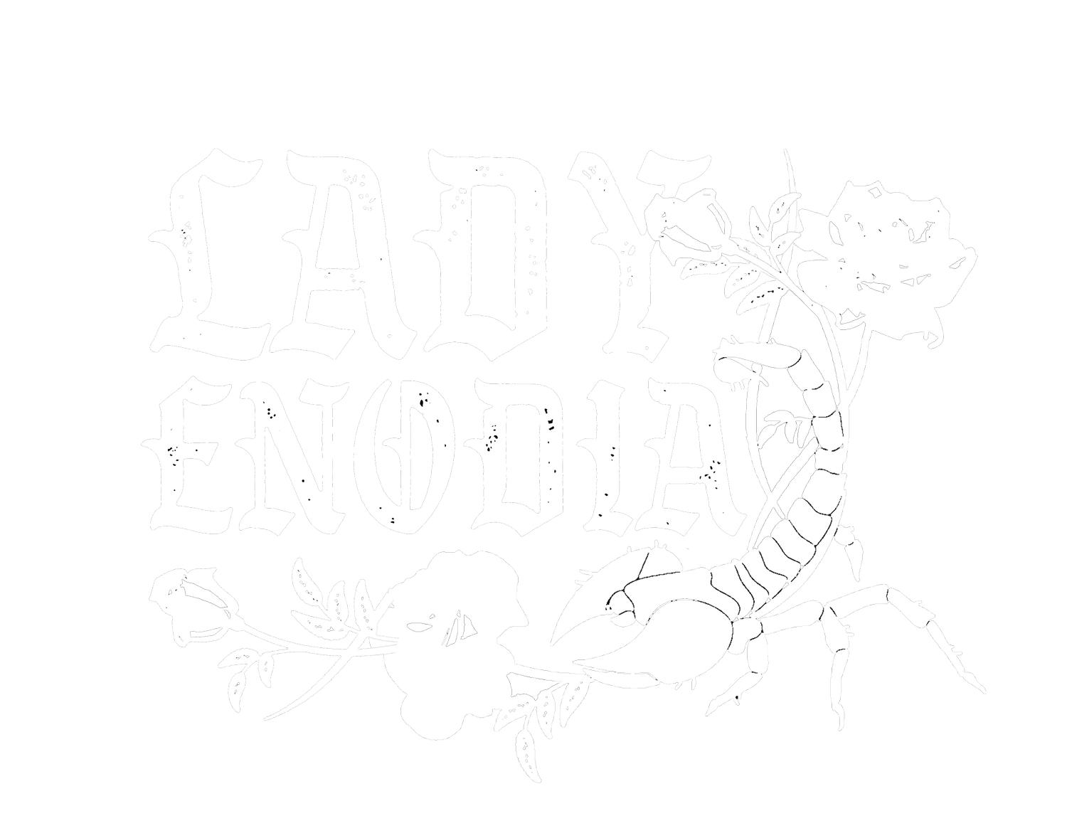 LADY ENODIA