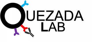 Immune Regulation and Tumour Immunotherapy Lab Members