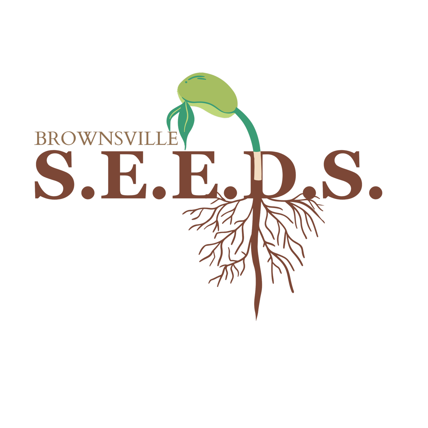 Brownsville Seeds of Literacy