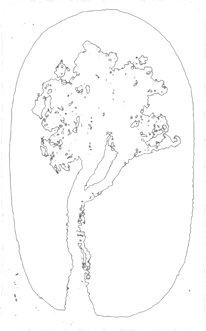 Storm Elfrink