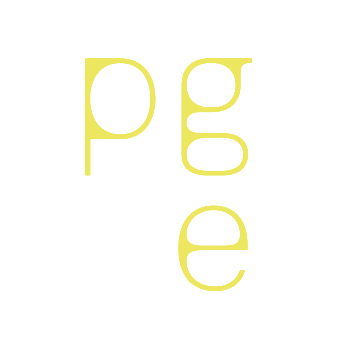 PEDRO GAXIOLA ESTUDIO