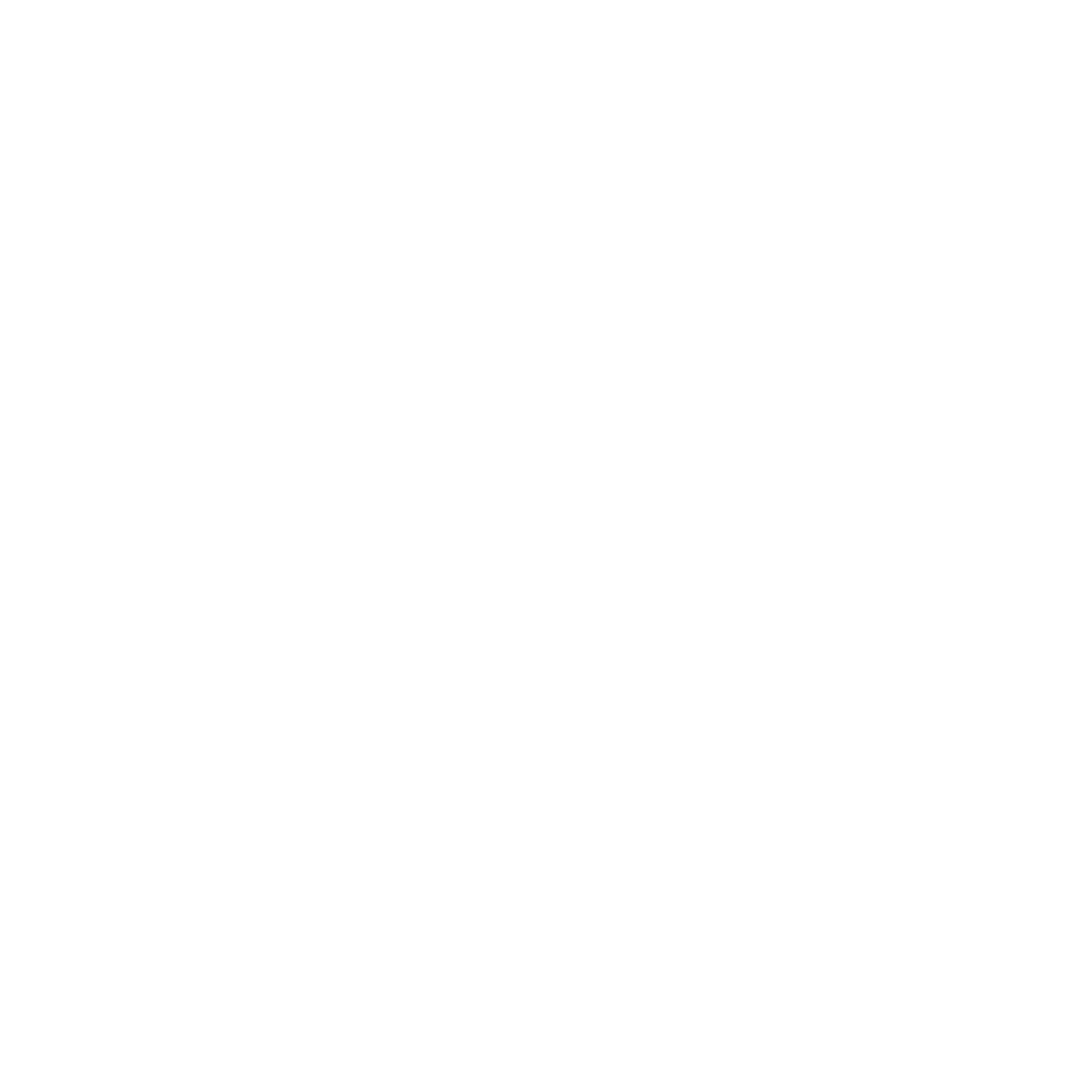 SJ Ventures