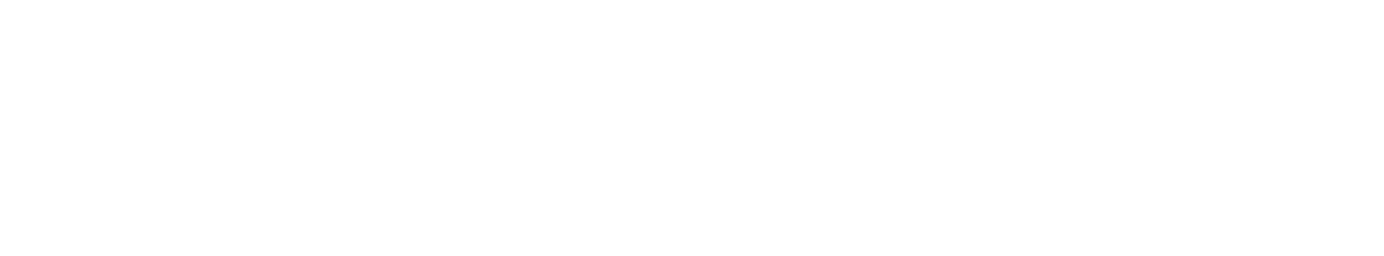 neatledger.net