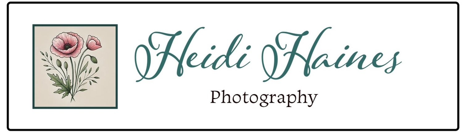 Heidi Haines Photography