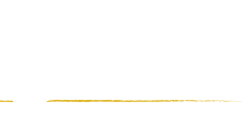 Elevate Consulting Group