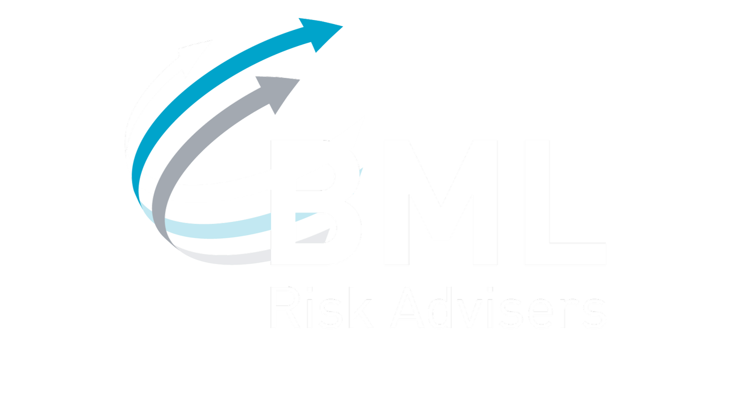 BML Risk Advisers