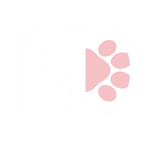 ND CANINE ACADEMY