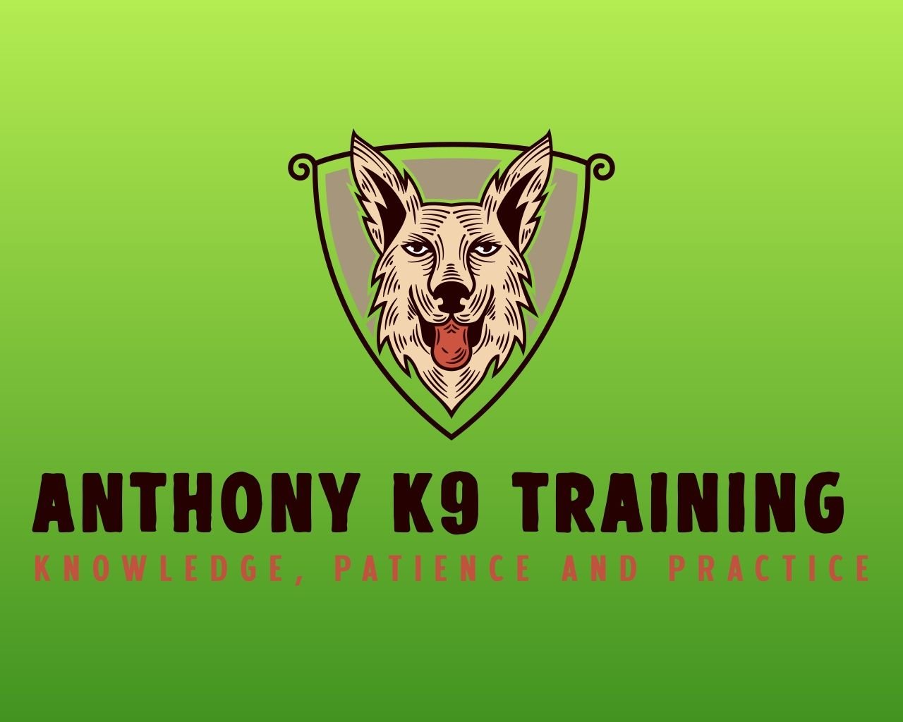 Anthony K9 Training