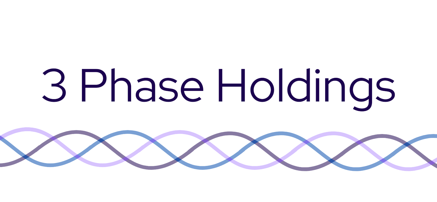 3 Phase Holdings