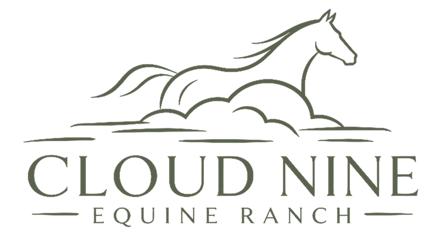 Cloud Nine Equine Ranch Home