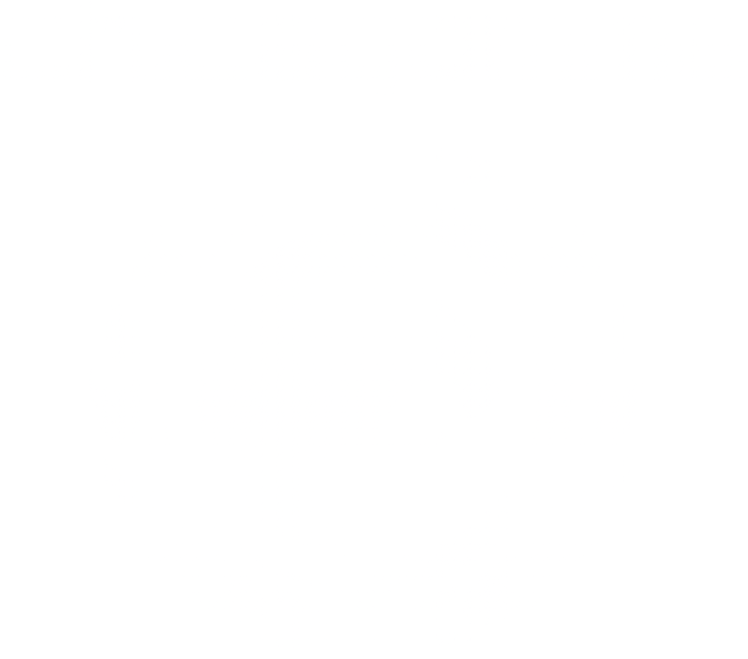 Ralph Gracie Brazilian Jiu-Jitsu - Chicago