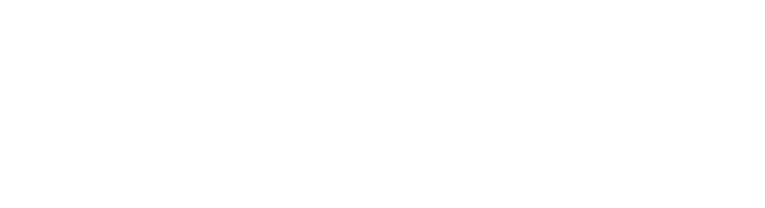 Dudonis Construction