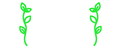 Picture Sprout Offers Photo Scanning, Organizing, Digital Archiving in Los Angeles