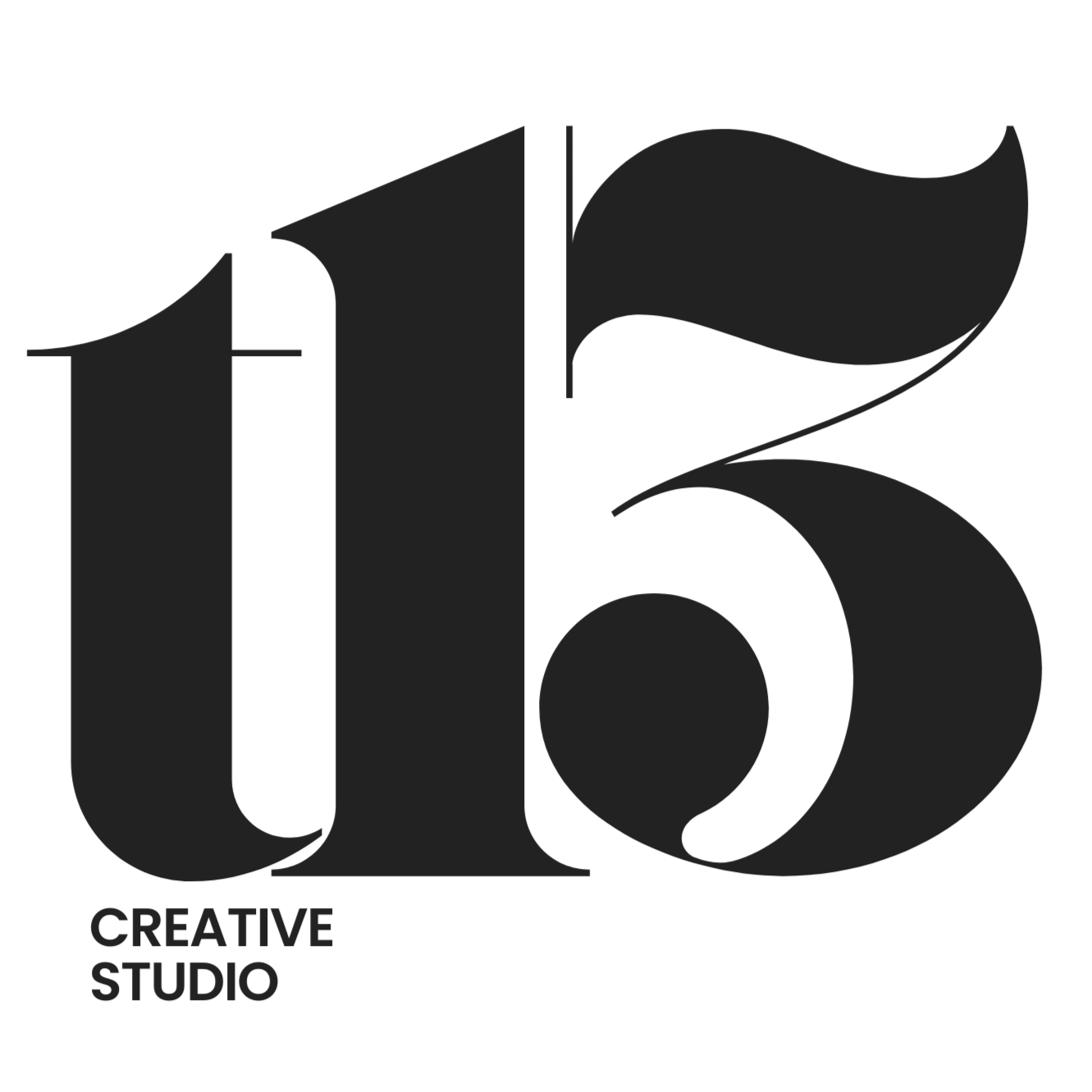 T13