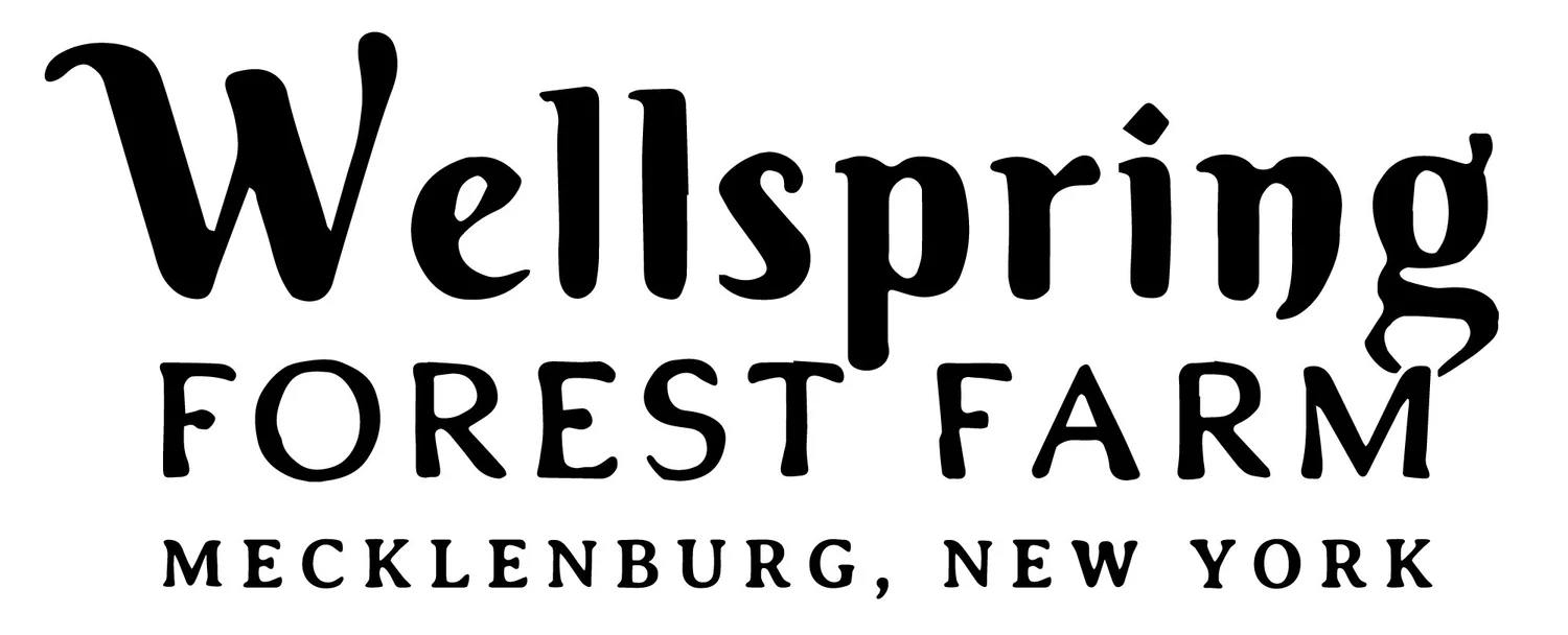 Wellness Tinctures from Wellspring Forest Farm