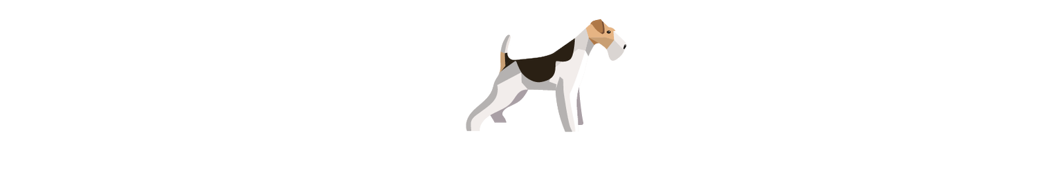 Wirefox Creative Studio