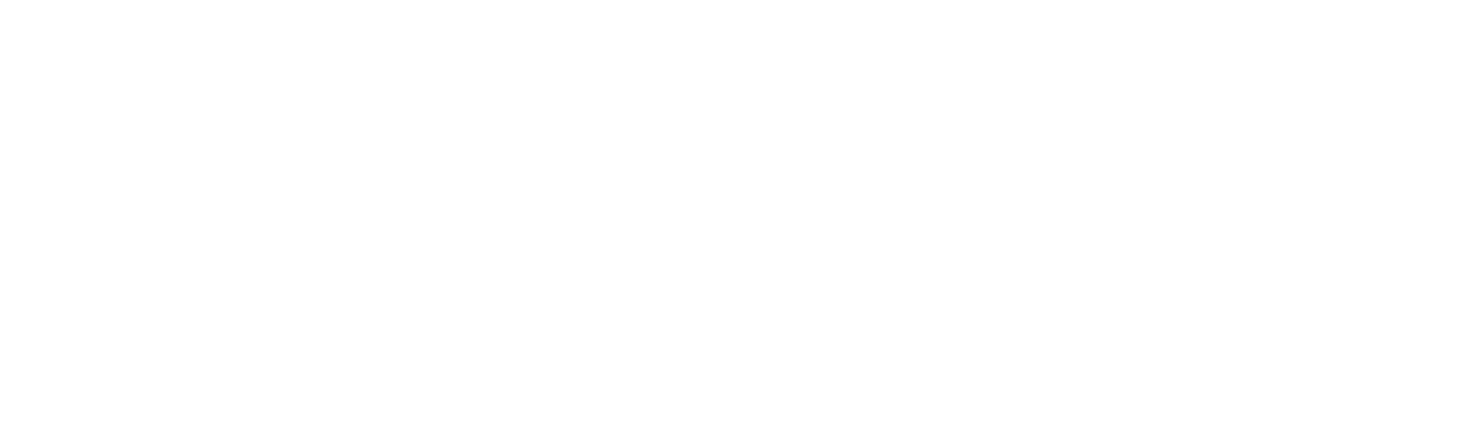 EVOLVE Family Services
