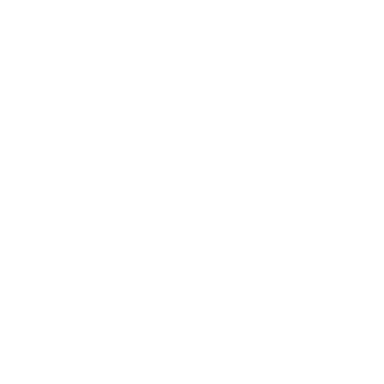 141 Security Consulting | A Boutique Security Consulting Firm for High-Velocity Brands