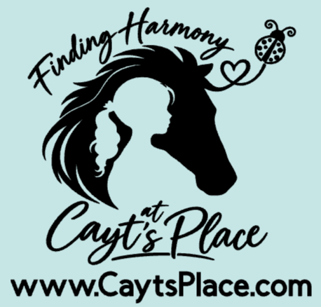 Finding Harmony at Cayt's Place
