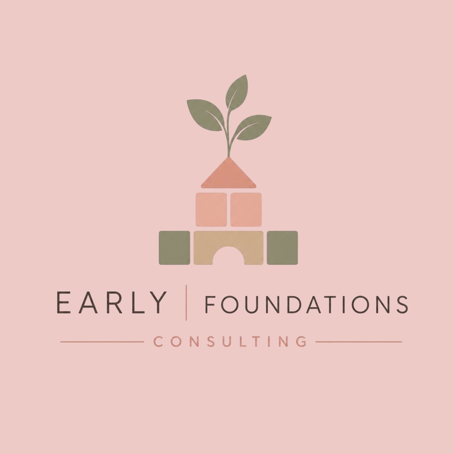 THE EARLY FOUNDATIONS CONSULTING