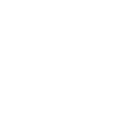 STUDIO SHANAFELT