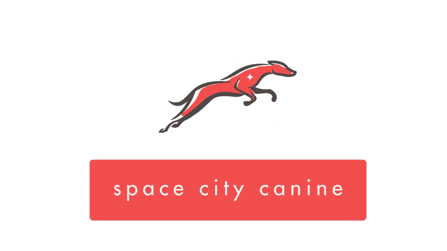 space city canine