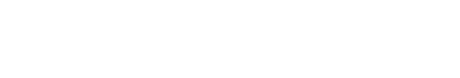 MAXS Architecture