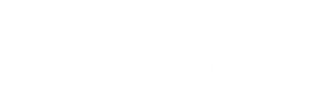 Campfire Consulting