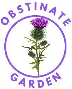 Obstinate Garden