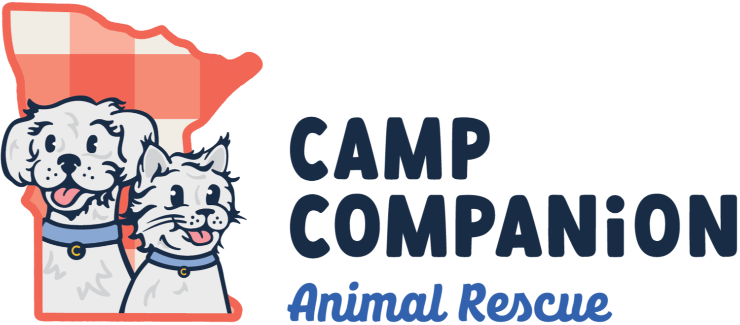 Camp Companion
