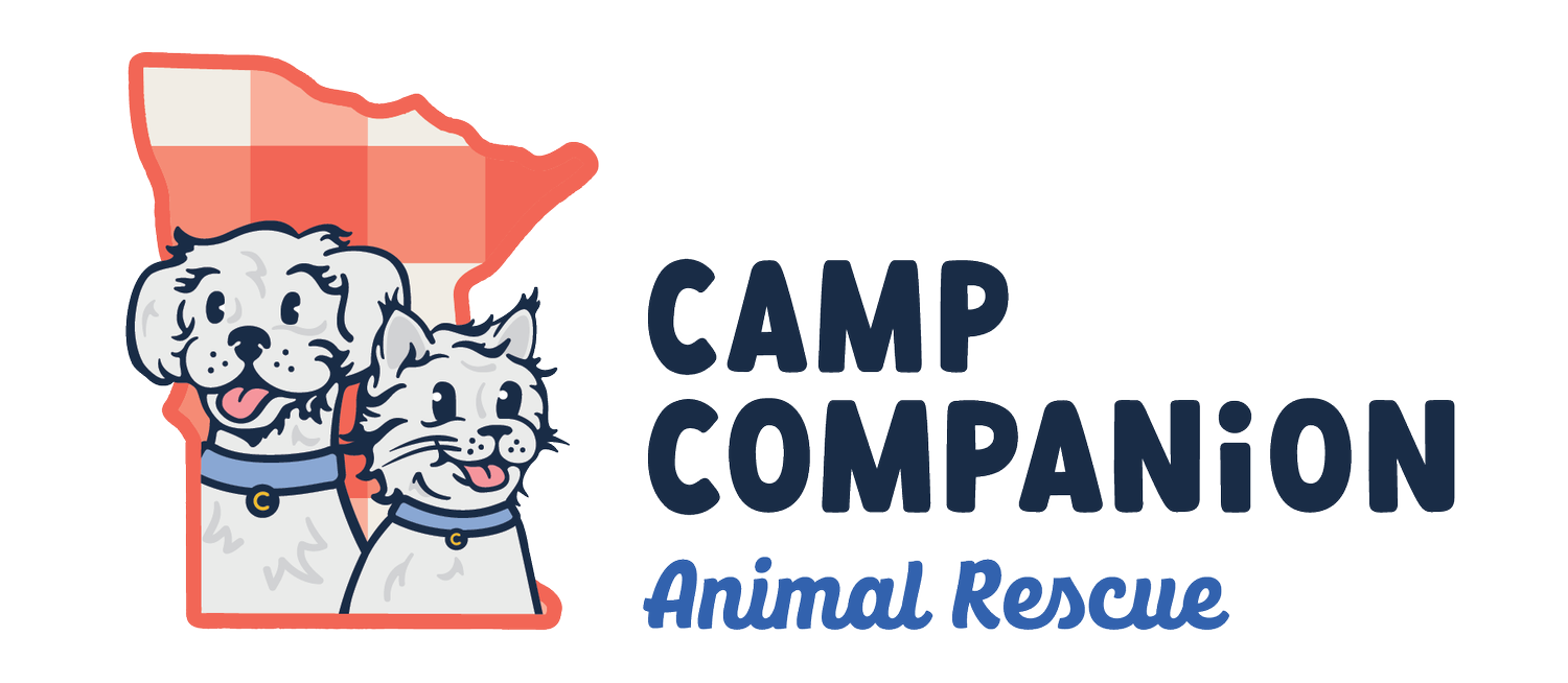 Camp Companion