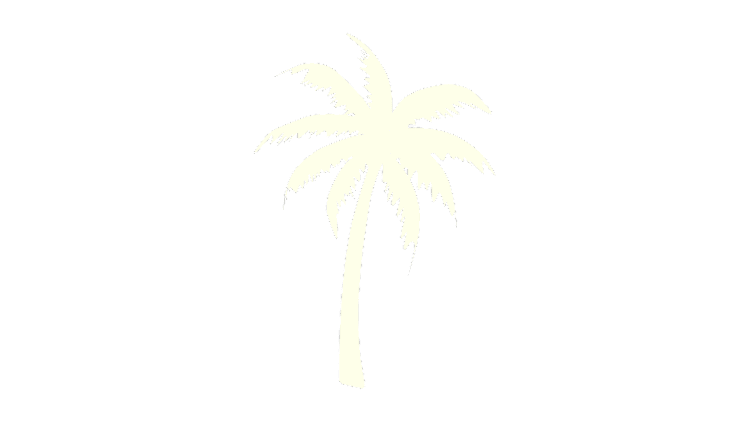 Palmera