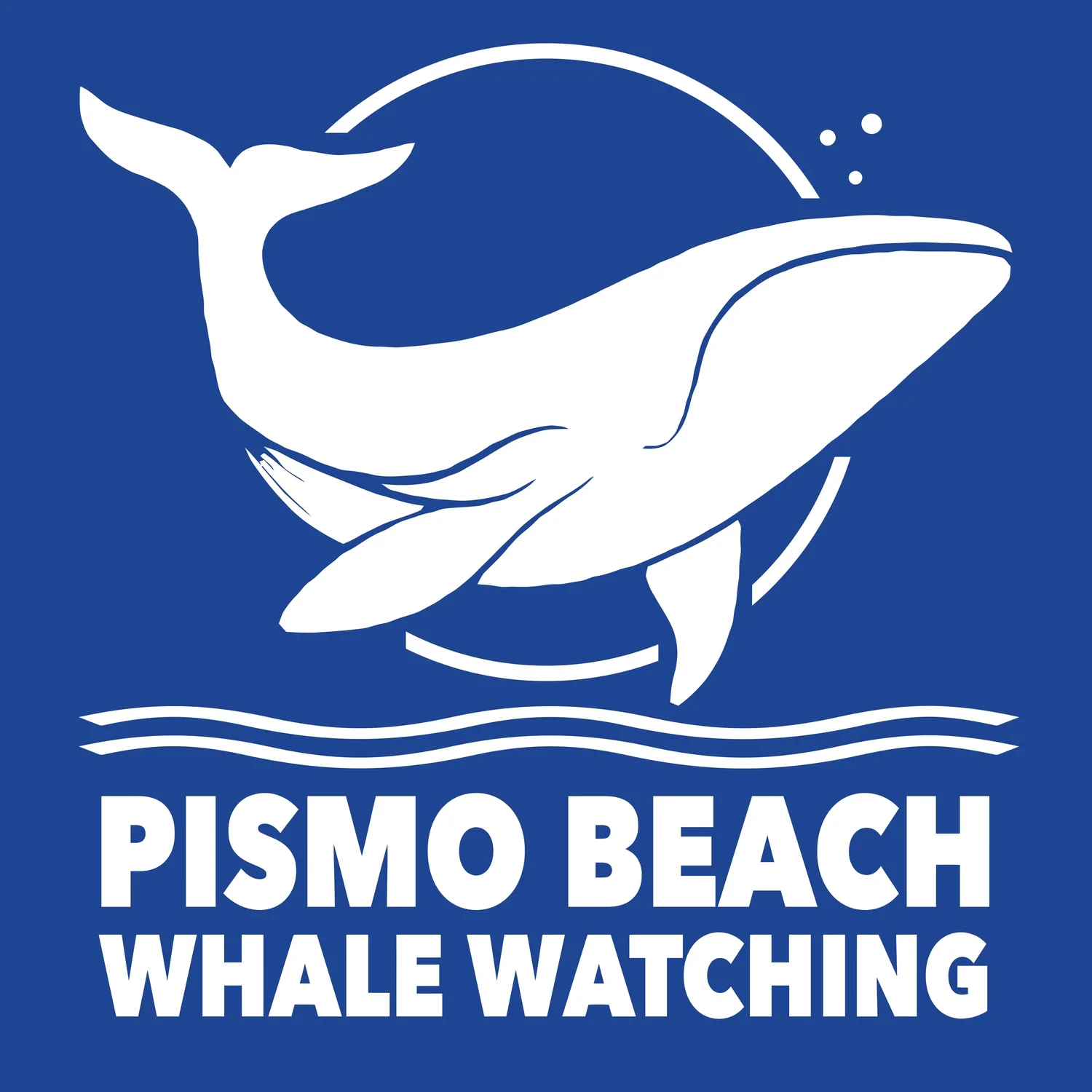 Pismo Beach Whale Watching