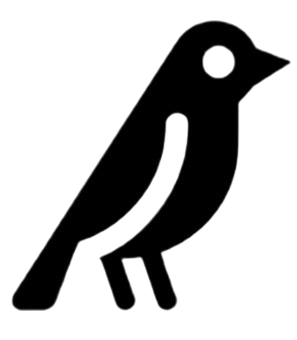 Blackbird Translation