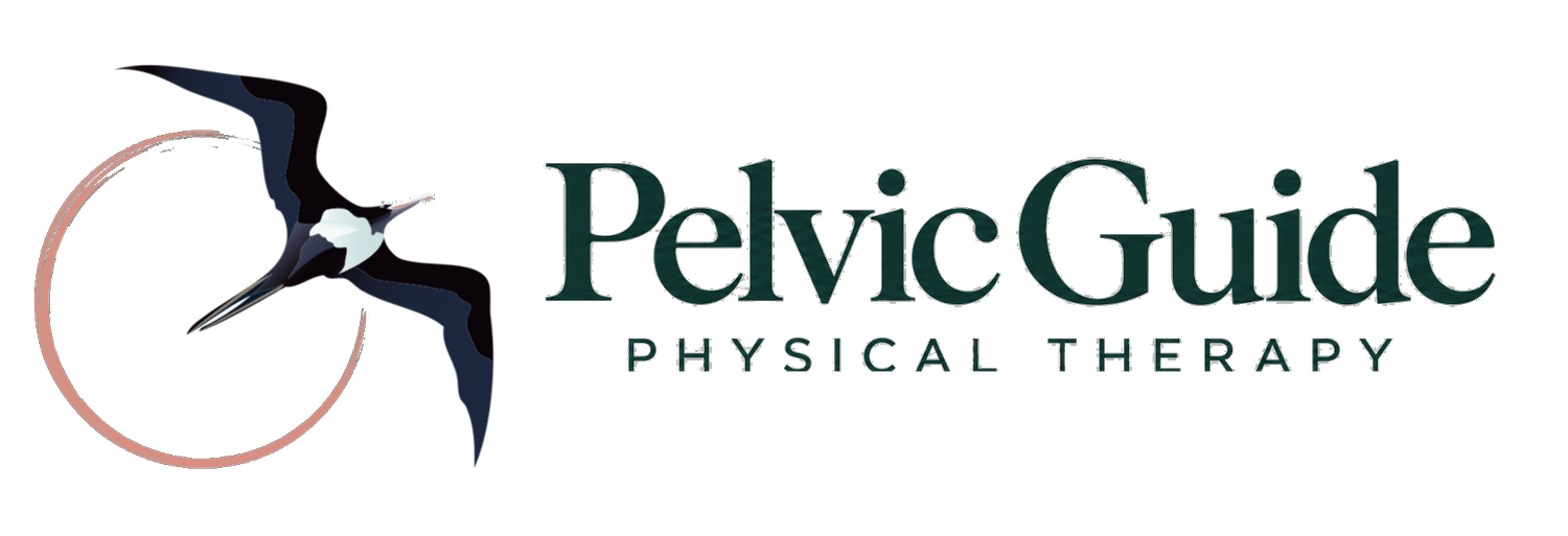 PELVIC GUIDE PHYSICAL THERAPY