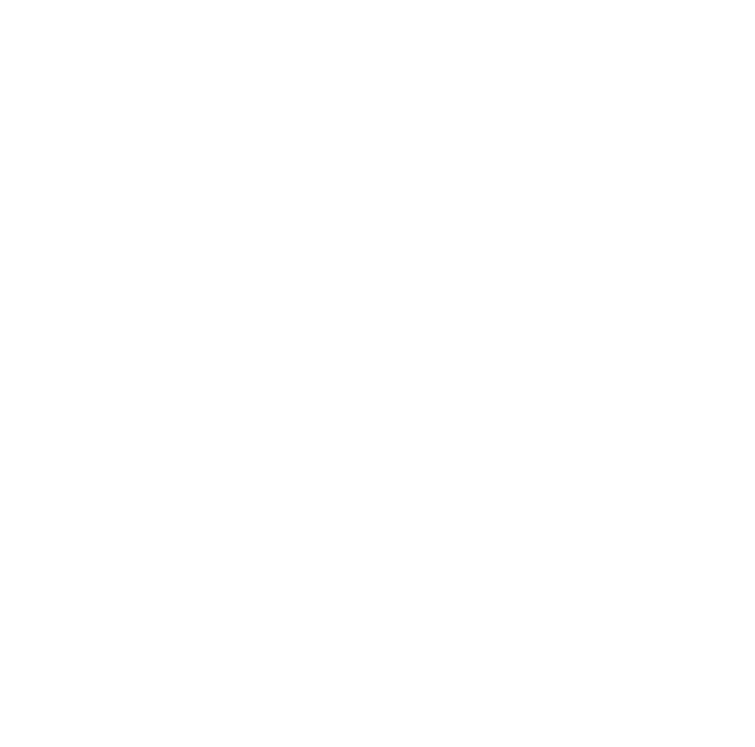 DISASSOCIATED PRESS, LLC