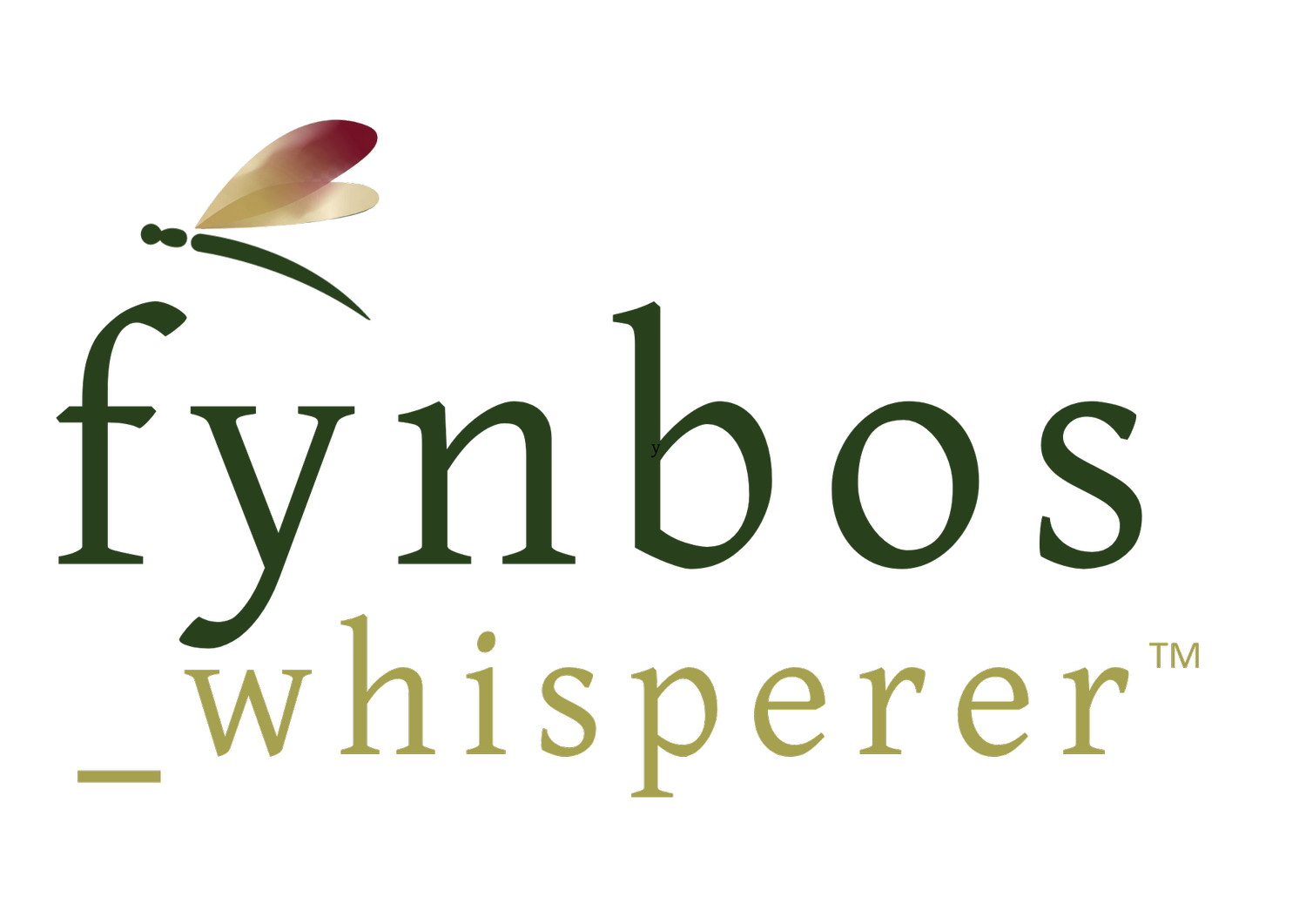 fynbos whisperer | CAPE TOWN Hiking Tours & CAPE TOWN Corporate Experiences