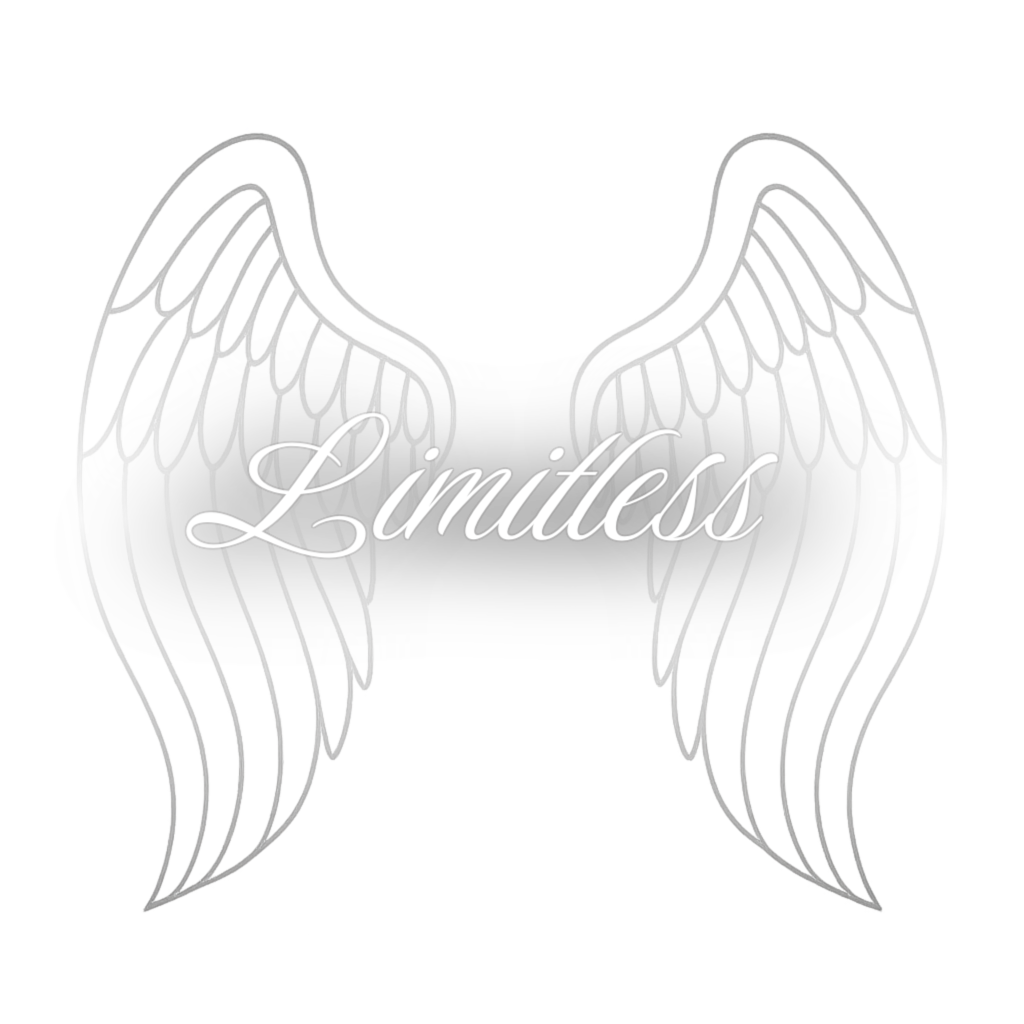 Limitless Wings