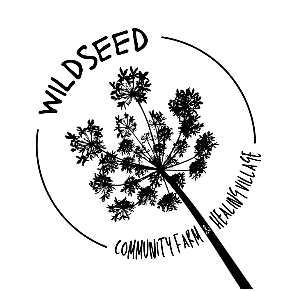 WILDSEED