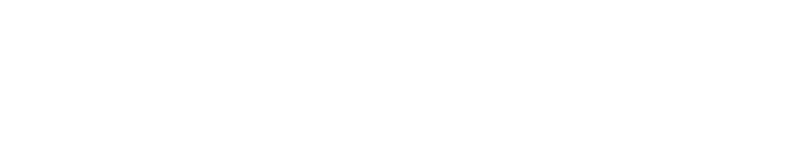 Wellesley Capital Ptd Ltd