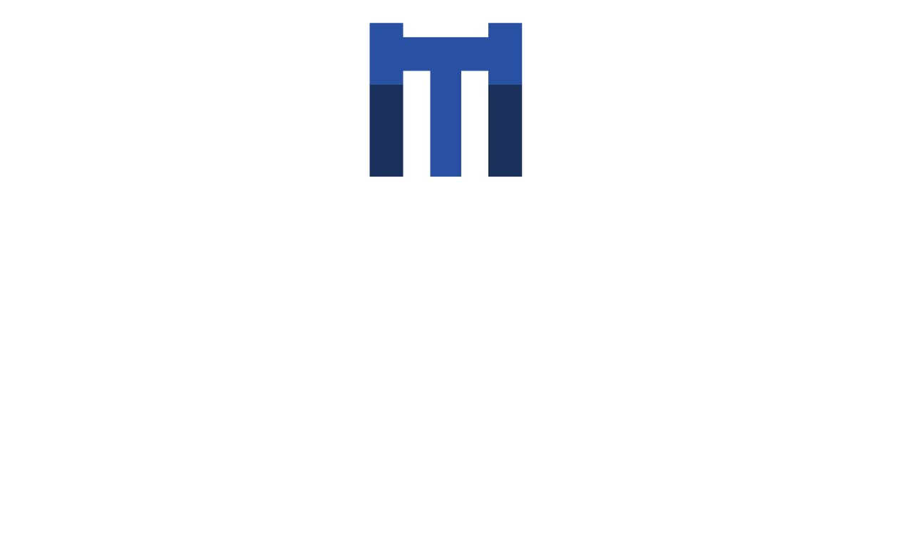Metro Auctioneer